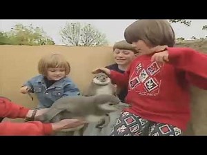 Teletubbies TV Feeding Baby Penguins Date 30 December 1998