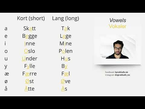 Beginner level - How to pronounce vowels (VOKALER) in norwegian