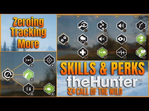 The Skills And Perks You MUST Use In COTW (2026 Guide)