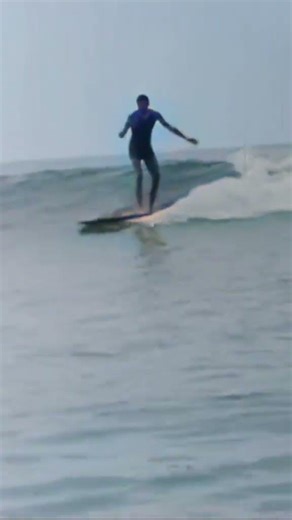 Honolulu Hawaii in the Early 1900's 🏝️🌊