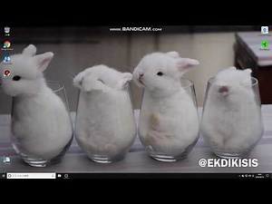 デスクトップ背景 動く壁紙