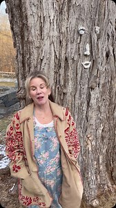 Did you know that The Giving Tree is one of Melissa’s favorite books? It’s a story of love, generosity, and the quiet wisdom of nature, and it never fails to leave a lasting impression. There’s something about trees that feels deeply personal—we see them as storytellers, silent protectors, and givers of life. They stand strong through the seasons, offering shade, shelter, and the simple reminder to stay rooted while reaching for the sky. Have you read The Giving Tree? What’s one of your favorite