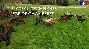 17K views · 240 reactions | [ ⚙️ Plateaux techniques ] Située au...