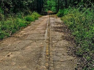 Hidden History: Exploring the abandoned Highway 98 beneath Falls Lake