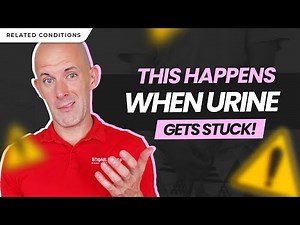 Hydronephrosis Explained: Kidney Swelling, Blockage & Treatment Options