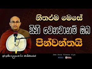 නිතර ‌ මෙසේ සිහි වෙනවානම් ඔබ පින්වන්තයි Ven Balangoda Radha Thero Ama Dora Viwara Viya