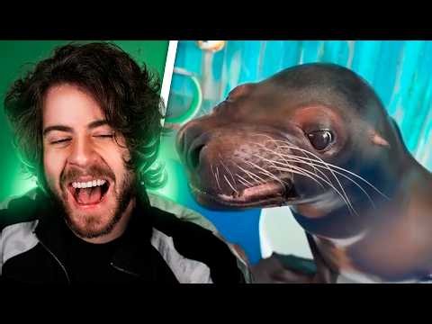 memes fresquinhos do reddit pra assistir enquanto almoça