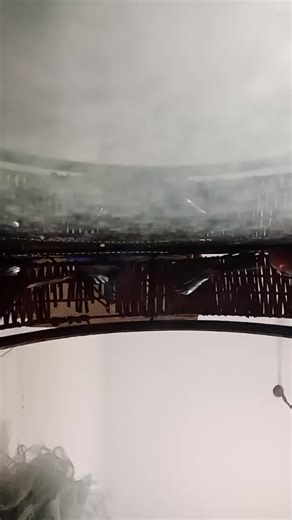 Azhar Javed Comedy (@azharjavedcomedy)’s videos with original sound - Azhar Javed Comedy