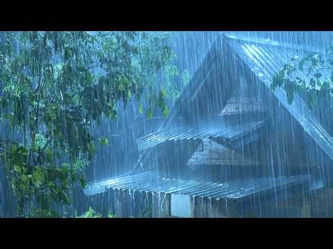 (NO ADS) Real Heavy Rain & Roaring Thunder on Metal Roof | Natural White Noise for Sleep