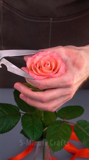 5-Minute Crafts on Reels