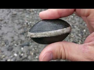 103. Rock hounding Cook inlet, and exploring Kincaid park, Anchorage Alaska