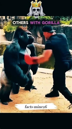 Animal Vs Human | Wait for End ☠️ | #facts #fypシ #gorilla #fyp #fypシ゚viral #viral #viralvideo #fypシ