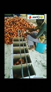 25K views · 401 reactions | . Sort(). | Programming Facts | Facebook