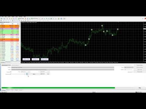 Grid Maestro functional demonstration