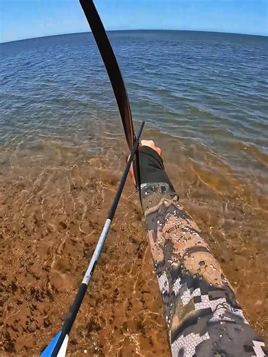 Essential Bow Fishing Techniques for Beginners