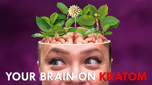 Kratom: Poison or Cure?