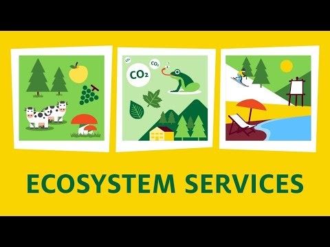 Biodiversity and Ecosystem Services