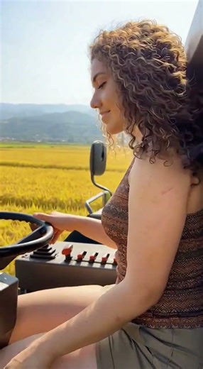 Golden Fields in Motion”#HarvestSeason #CombineHarvester #FarmLife