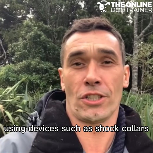 Learn the exact steps to stopping your dog’s Reactivity and...