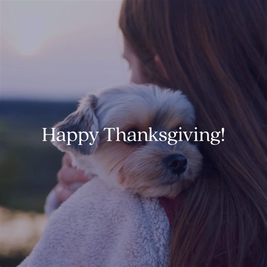 This Thanksgiving, our hearts are full of gratitude, for the pets who bring us joy and unconditional love, and for the dedicated veterinary professionals who care for them with such compassion and skill. 🐾🧡 We’re so thankful for our teams, our clients, and the communities that make every day meaningful. From all of us at Veterinary Innovative Partners, we wish you a happy, healthy, and heartwarming Thanksgiving! 🦃 #Thanksgiving #VIPVeterinary #Grateful #VetLife #PetsAreFamily #CommunityCare |