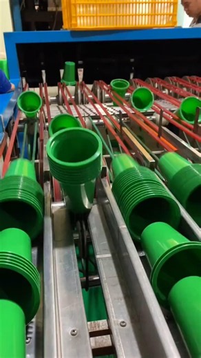 Automatic Plastic Cup Stacking Machine | High-Speed Cup Sorting & Packaging Process