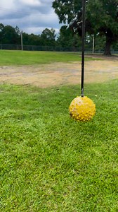 56K views · 1.1K reactions | Target  acquired and Fur Missile  engaged #boom #fast #zoom #speed #furmissile #target #reels #viral #trending #reelsfb #trendingreels #fypシ #viralvideo #video #k9 #k9bane #bane #BaneTrain #classic #police #workingdog #germanshepherd #gsd #dog #doggo #dogsofinstagram #dogoftheday #doglife #fastandfurious #ballislife | K-9 Joker & K-9 Bane | Facebook