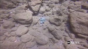 61K views · 1.6K reactions | Chance discovery by Israeli divers...
