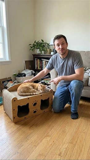 FANJUN-AMTECH 2 in 1 House & Scratch Board, 1 Set Wooden Bed with Scratcher, Durable Double Layer Bed, Pet Furniture for Indoor Spacious cool cat stuff cozy cat bed cat scratcher indoor cat accessories cat toys cat accessories#TikTokShopfalldealsforyou #tiktokshop #freeshipping #sale