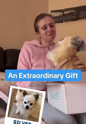 Custom Stuffed Animals: A Unique Tribute to Pets