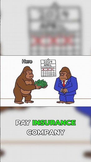 Car Insurance Explained So Simply Even a Monkey Gets It