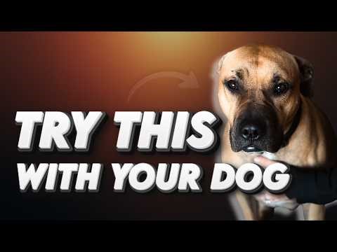 5 Simple Ways to Help Your Dog Settle & Relax