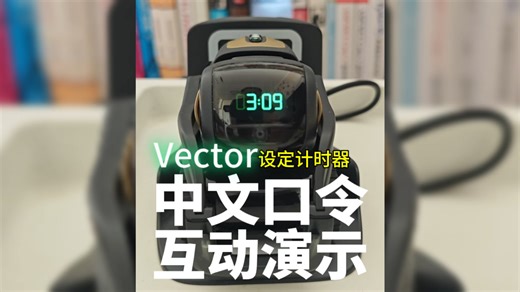 Vector 中文口令演示：设定计时器通过本地服务器加持，#vector 终于可以支持中文口令互动了