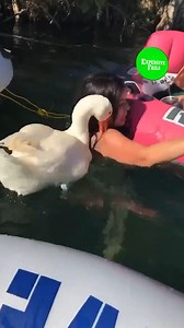 Most expensive fails from TikTok 😭💀 #fail #funny #pricey #viraltiktok #comedy #expensive | This is Happening Daily