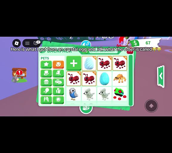 Unboxing Crystal Eggs in Adopt Me