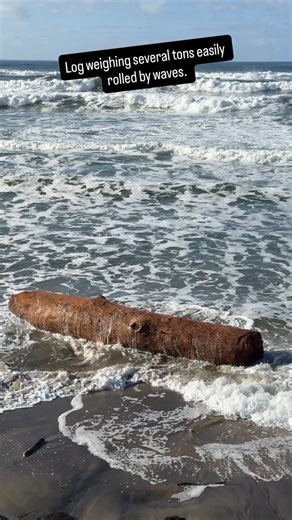 A great visual on why you don’t climb the logs on the beach when there is an incoming tide or risk of sneaker waves. This is a HUGE log, several tons at least, and it’s rolling around like it’s a bath toy. | The Li'l Pink House