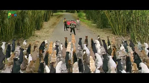 first movie scene#viral_video #trendingvideo