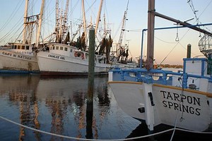 Tarpon Springs: The 'Greek Island' of the United States - GreekReporter.com
