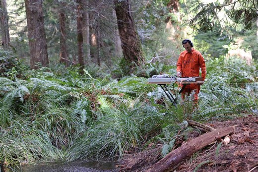 Biologist-Turned-Musician Creates Sonic Magic With Bioelectricity From Fungi