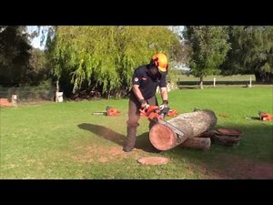 Husqvarna 450e Chainsaw Speed Test 450mm