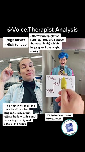 Voice Analysis with Estill Voice Approach | Singers of TikTok