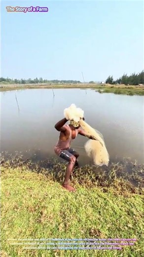 Mastering the Art of Net Casting: A Fisherman's Skill 🐟🌊