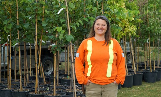 Here's why Waterloo is planting 10K trees