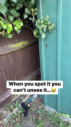 71K views · 190 reactions | Mr Amazing on Reels | Facebook