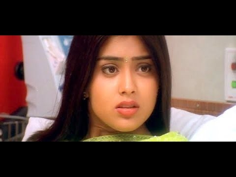 Santosham Movie Video Songs - Ne Tholi Sariga - Nagarjuna, Shriya Saran Suryas Tv