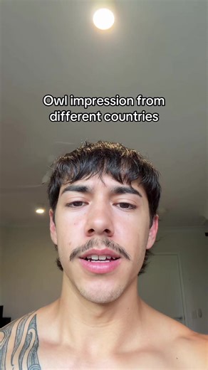 Unique Owl Impressions from Around the World