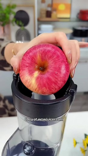 Link in Bio on TikTok