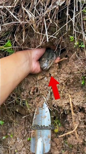 👉आखिर इस गड्ढे में क्या निकला 😱 mini wood toy-woodworking art skill/woodhand #shorts #shortsvideo