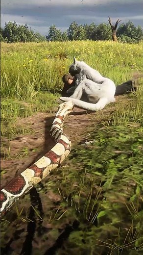Mountain Lion Attacks Man - Snake Saves Him by Biting Lion! RDR2 #shorts