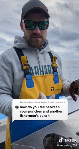 Understanding Lobster Notching: A Breeder's Mark Explained