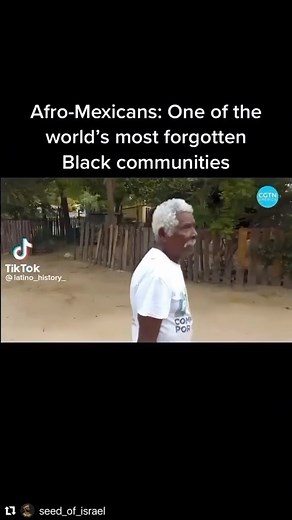 Did you know that Mexico has a long history of African heritage that has been ignored for centuries? Afro-Mexicans, who trace their roots back to the transatlantic slave trade, have been an integral part of Mexico’s cultural and historical tapestry for over 500 years. Yet, despite making up around 2% of the population, their contributions have been largely overlooked. The Afro-Mexican community has faced a long history of discrimination and marginalization, with many struggling to find recogniti